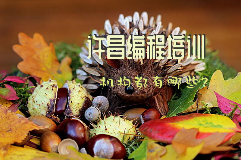 许昌编程培训机构都有哪些？
