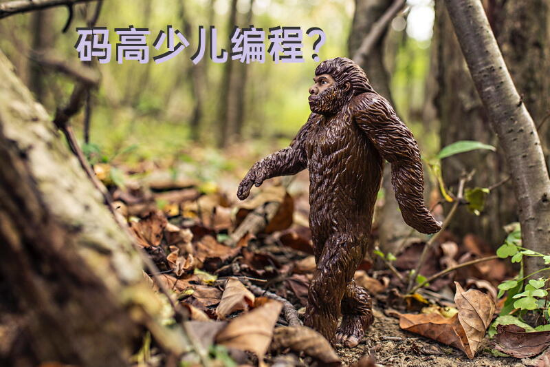 码高少儿编程？