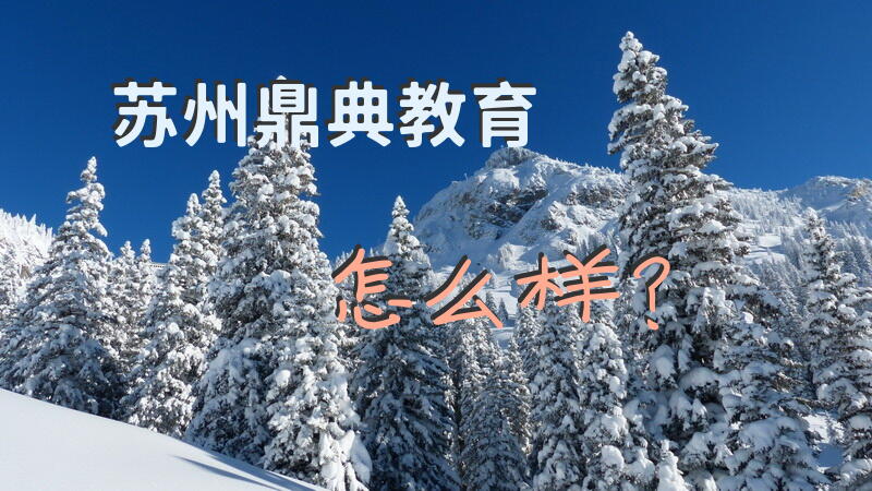 苏州鼎典教育怎么样？