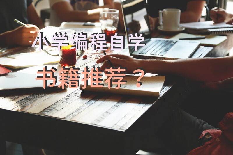 小学编程自学书籍推荐？