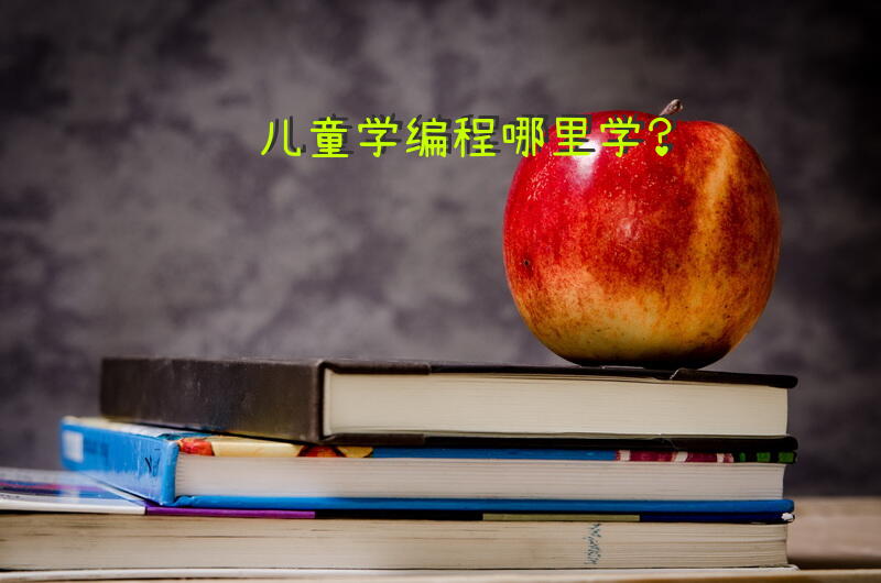 儿童学编程哪里学？