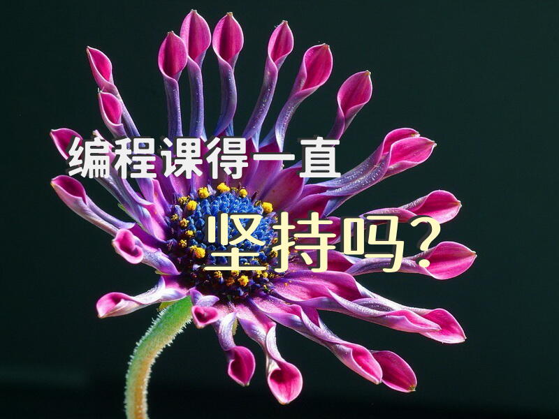 编程课得一直坚持吗？