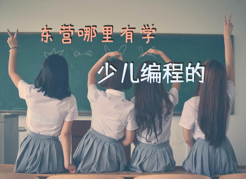 东营哪里有学少儿编程的？