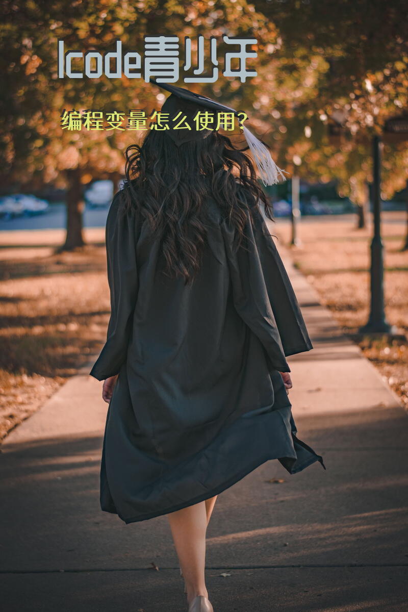 lcode青少年编程变量怎么使用？