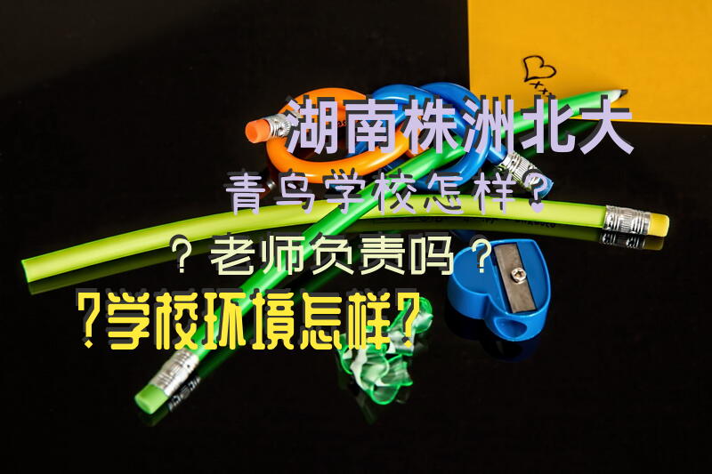湖南株洲北大青鸟学校怎样？老师负责吗？学校环境怎样？