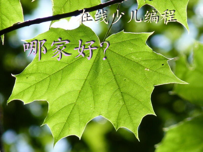 在线少儿编程哪家好？