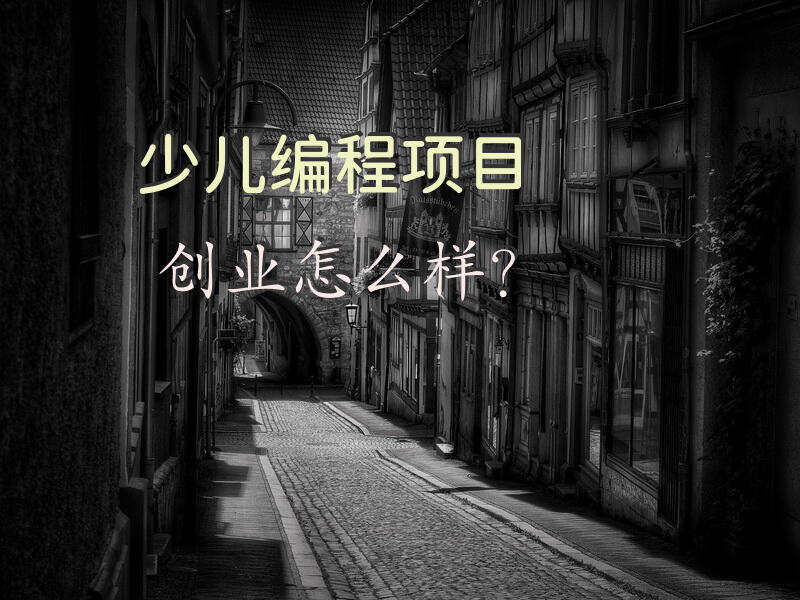 少儿编程项目创业怎么样？