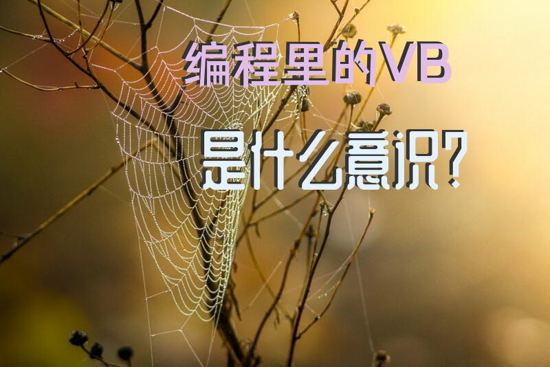 编程里的VB是什么意识？