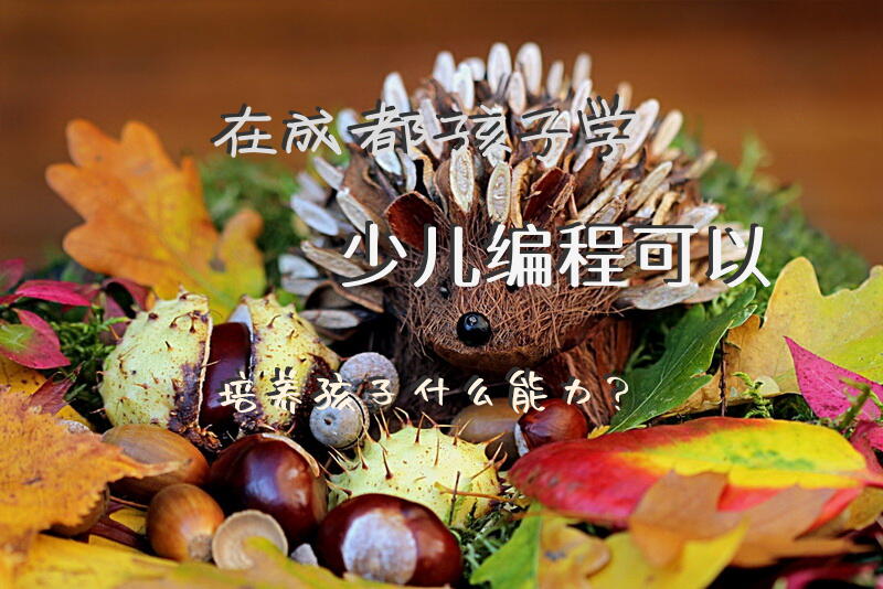 在成都孩子学少儿编程可以培养孩子什么能力？