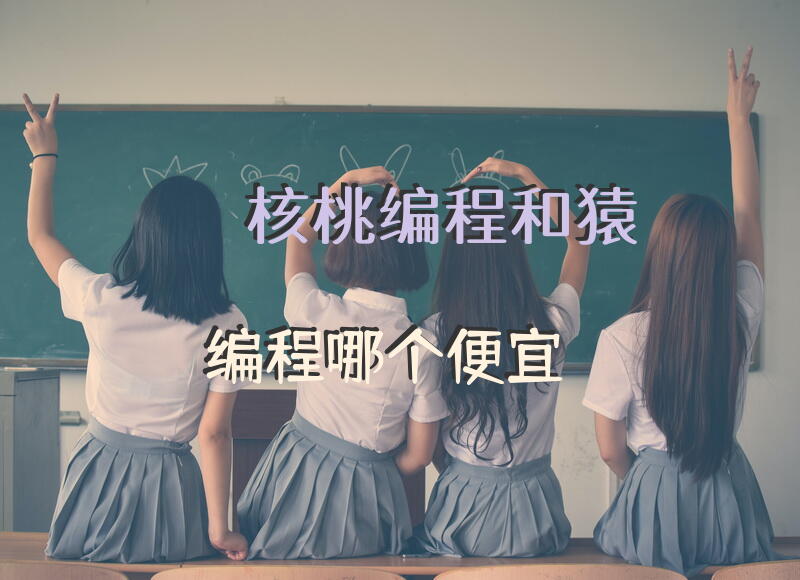 核桃编程和猿编程哪个便宜？
