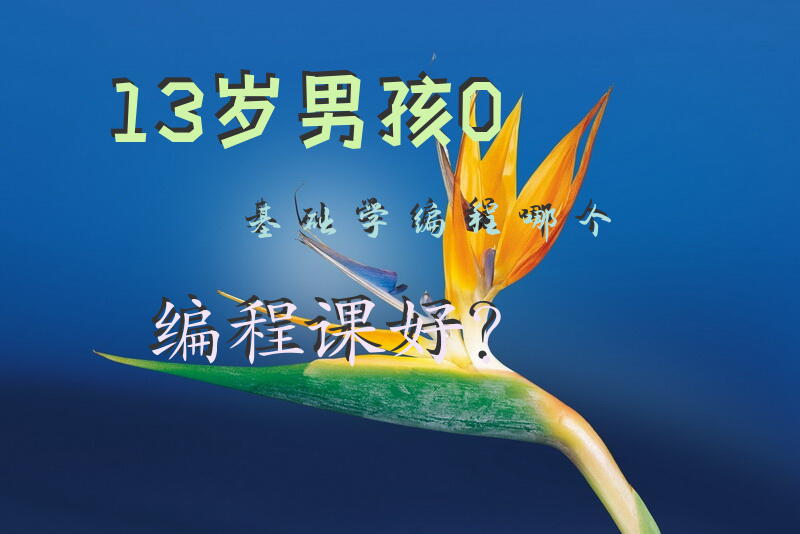 13岁男孩0基础学编程哪个编程课好？