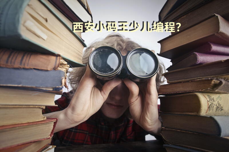 西安小码王少儿编程？