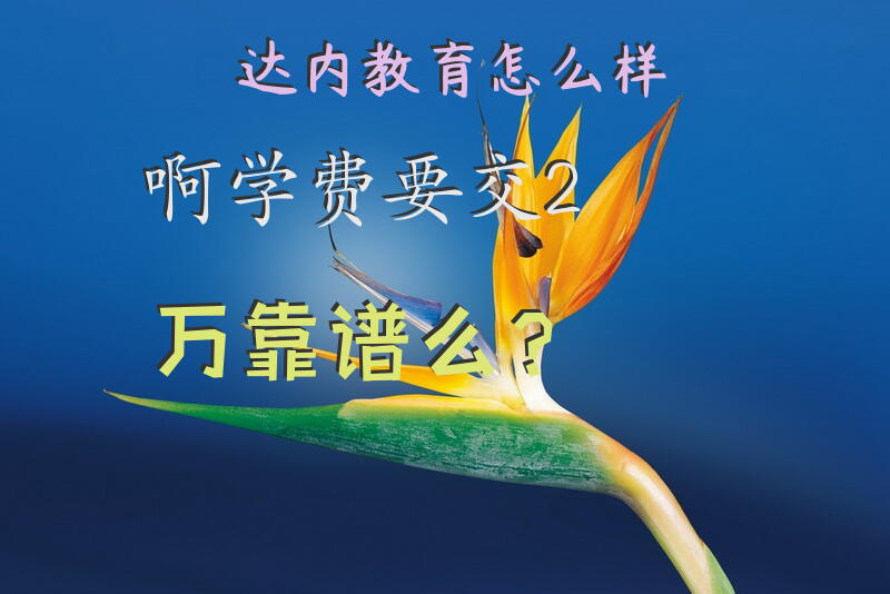 达内教育怎么样啊，学费要交2万，靠谱么？