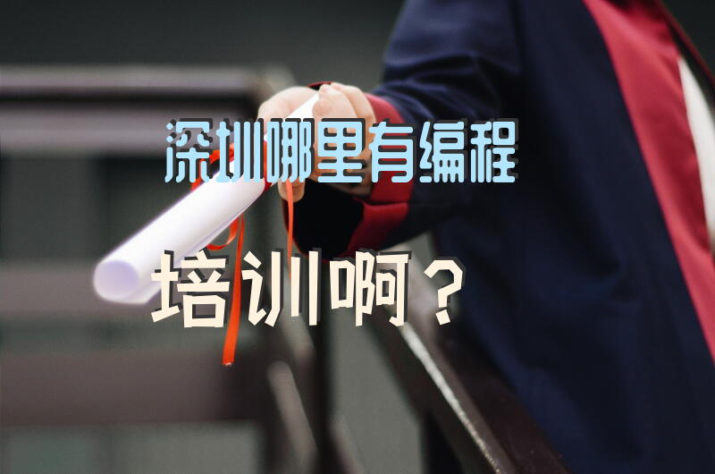 深圳哪里有编程培训啊？