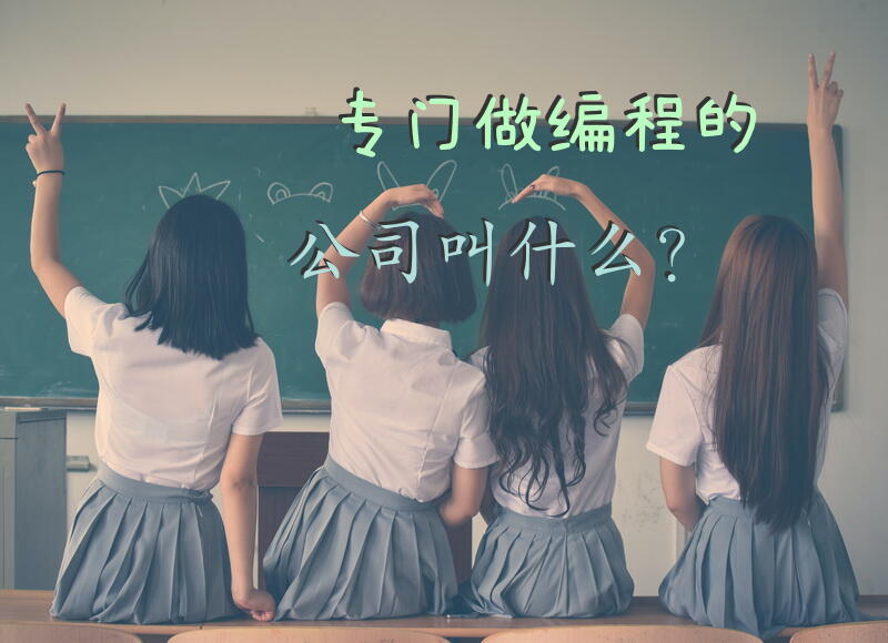 专门做编程的公司叫什么？