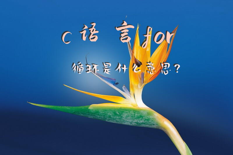 c语言for循环是什么意思？