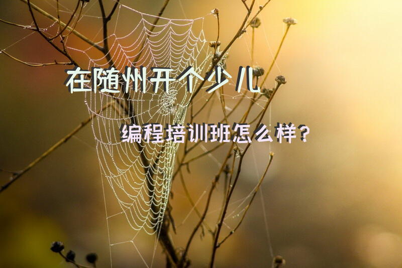 在随州开个少儿编程培训班怎么样？