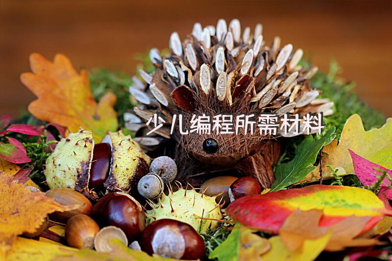 少儿编程所需材料？