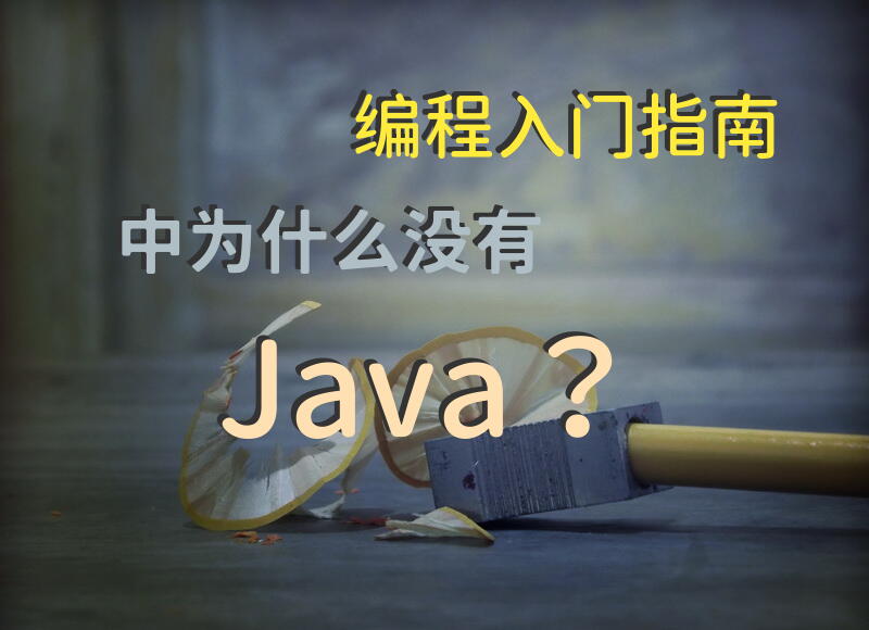 编程入门指南中为什么没有Java？
