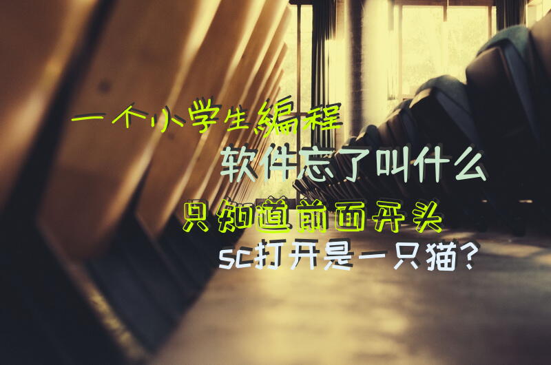 一个小学生编程软件忘了叫什么只知道前面开头sc打开是一只猫？