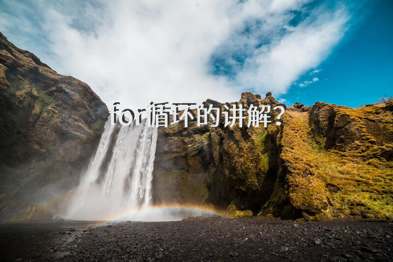 for循环的讲解？