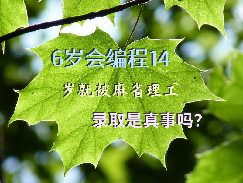 6岁会编程，14岁就被麻省理工录取，是真事吗？