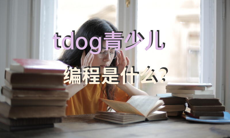 tdog青少儿编程是什么？