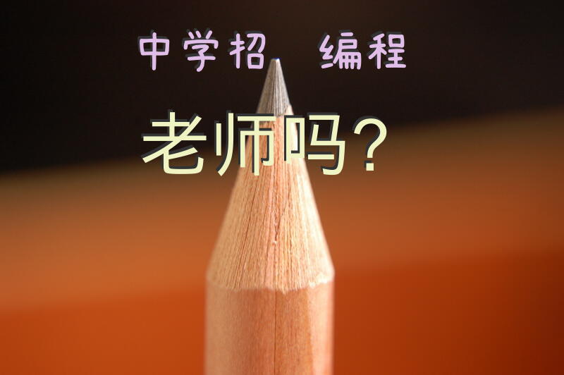 中学招聘编程老师吗？