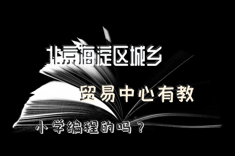北京海淀区城乡贸易中心有教小学编程的吗？