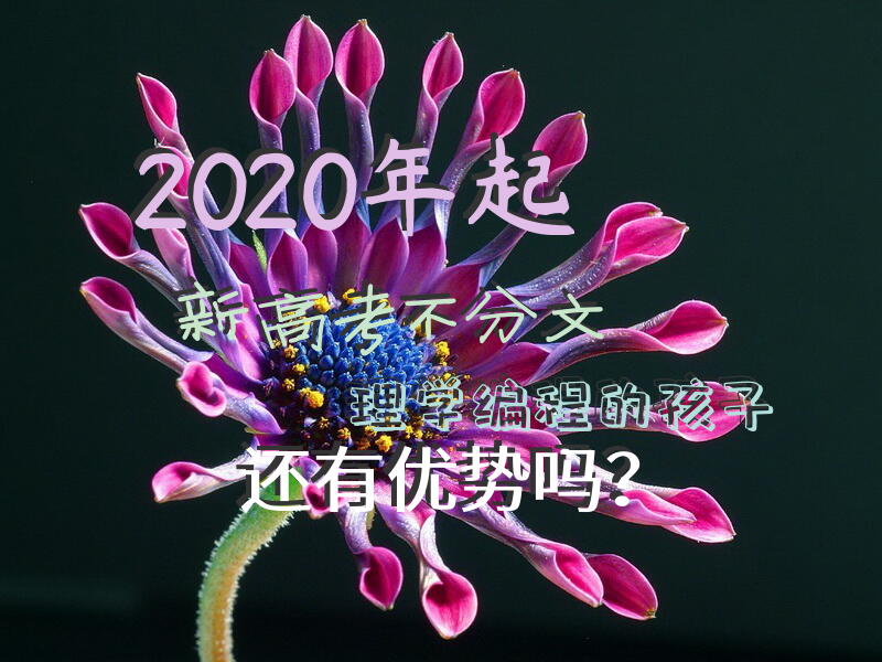 2020年起新高考不分文理，学编程的孩子还有优势吗？