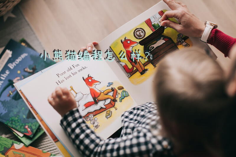 小熊猫编程怎么样？