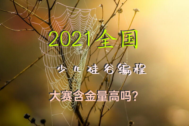 2021全国少儿硅谷编程大赛含金量高吗？