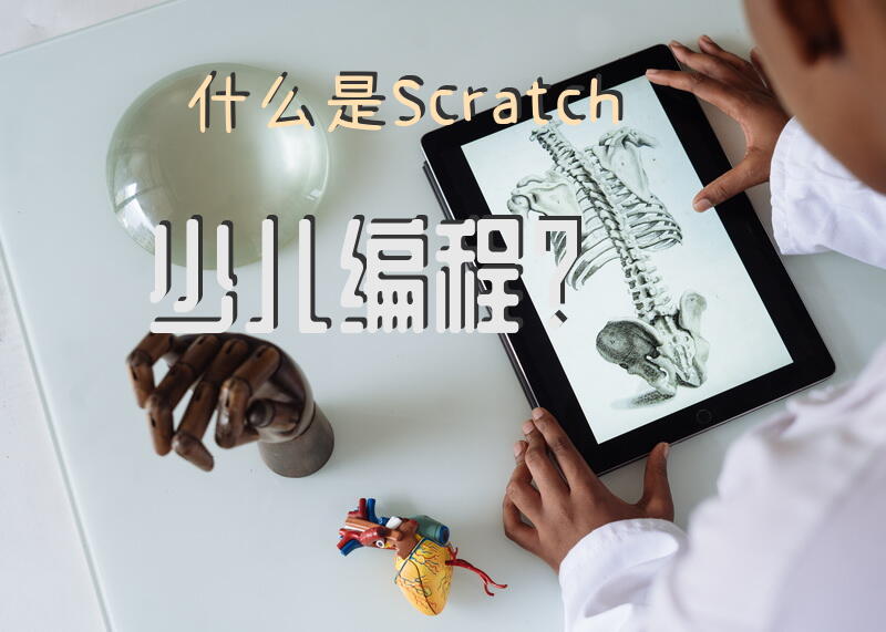 什么是Scratch少儿编程？