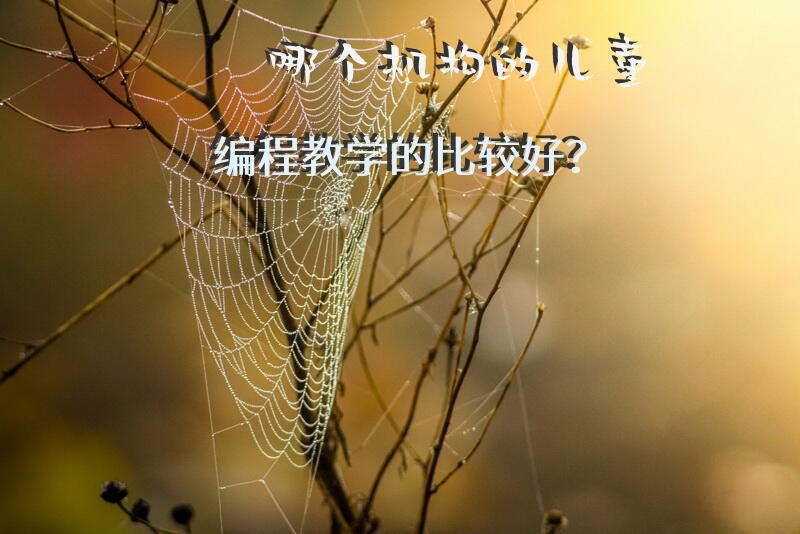 哪个机构的儿童编程教学的比较好？