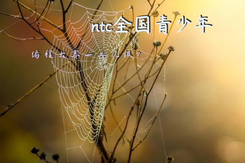 ntc全国青少年编程大赛一共几级？