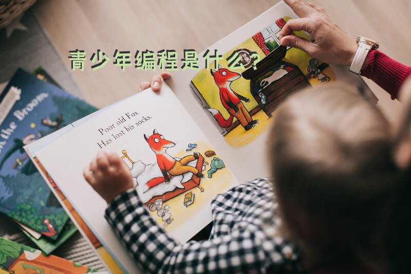 青少年编程是什么？