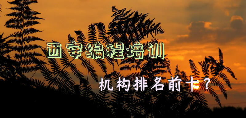 西安编程培训机构排名前十？