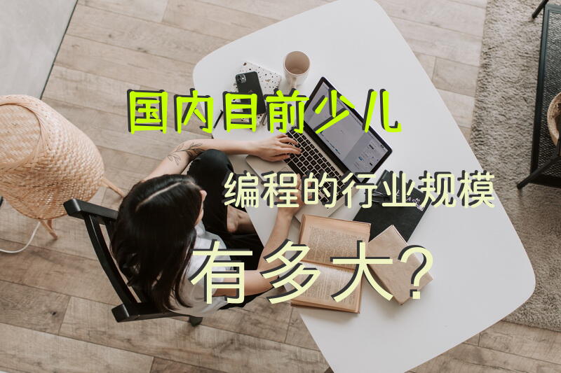 国内目前少儿编程的行业规模有多大？