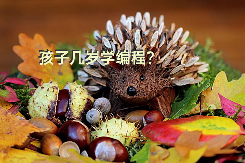 孩子几岁学编程？