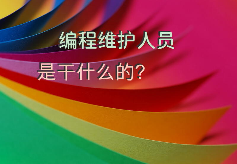 编程维护人员是干什么的？