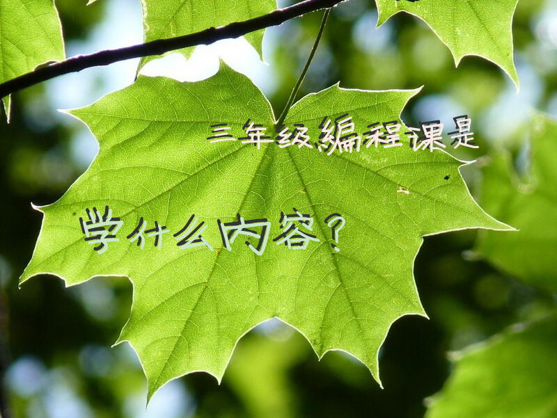 三年级编程课是学什么内容？