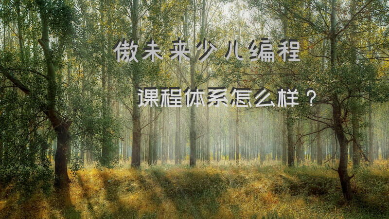 傲未来少儿编程课程体系怎么样？