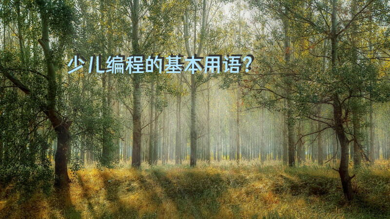 少儿编程的基本用语？