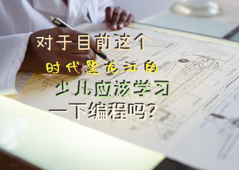 对于目前这个时代，黑龙江的少儿应该学习一下编程吗？