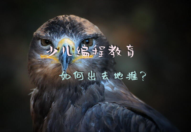 少儿编程教育如何出去地推？